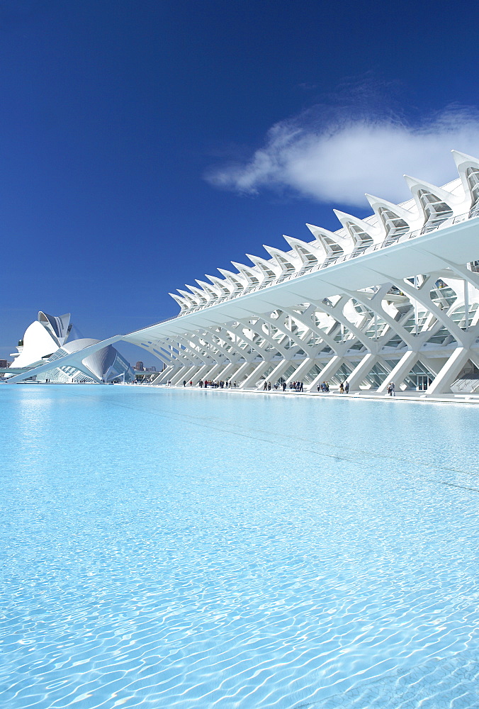 Principe Felipe Science Museum, City of Arts and Sciences, Valencia, Spain, Europe