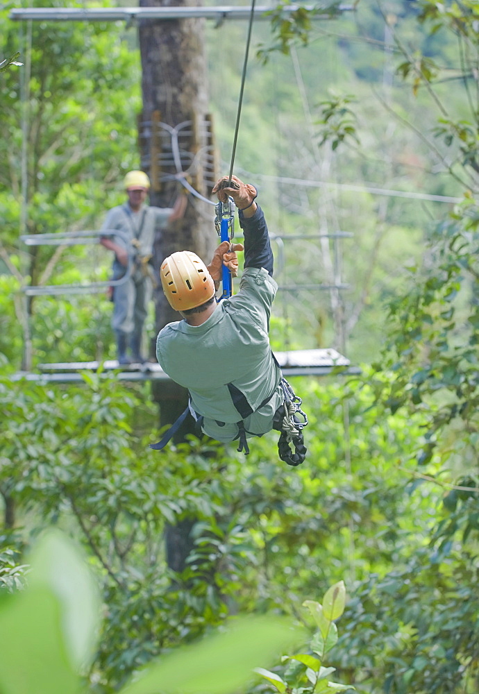 Man on a canopy tour zipline in rainforest, Pacuare River, Turrialba, Costa Rica, Central America