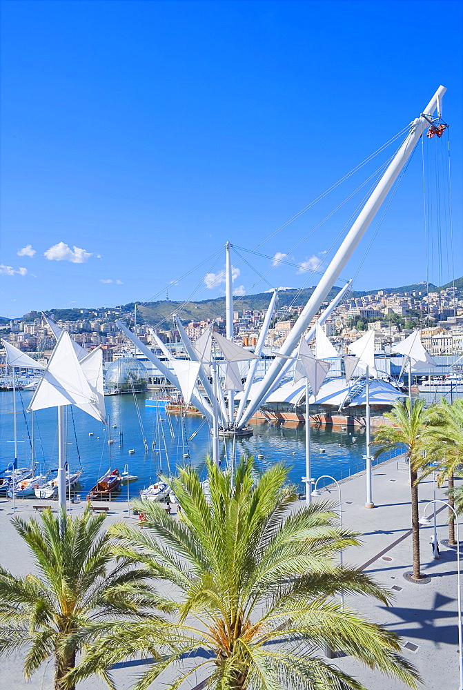 Il Grande Bigo, Porto Antico, Genoa, Liguria, Italy, Europe