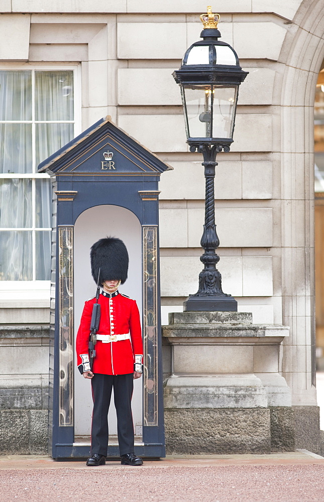 Royal Guard standing outside Buckingham Palace, London, England, United Kingdom, Europe