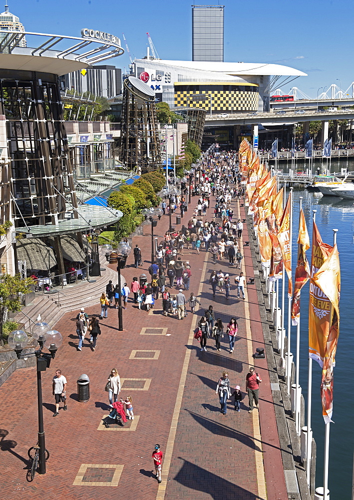 Darling Harbour, Sydney, New South Wales, Australia, Pacific 