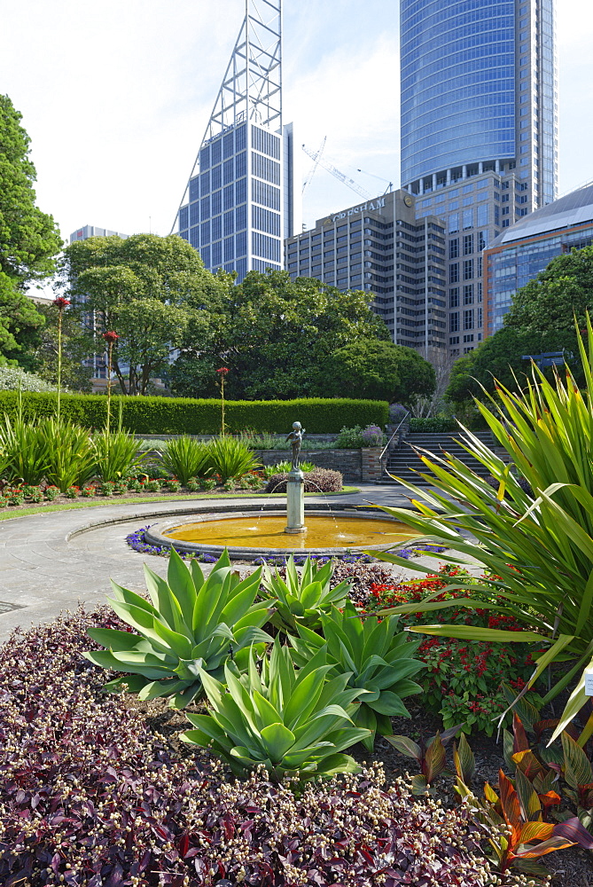 Royal Botanic Gardens, Sydney, New South Wales, Australia, Pacific 