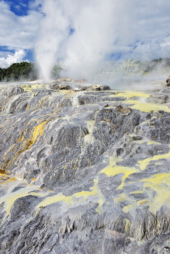 Pohutu Geyser and Prince of Wales Geyser, Rotorua, North Island, New Zealand, Pacific