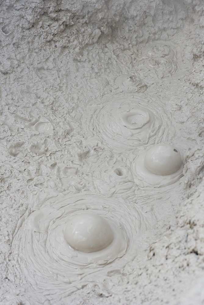 Bubbling mud, Waiotapu Thermal Area, Rotorua, North Island, New Zealand, Pacific