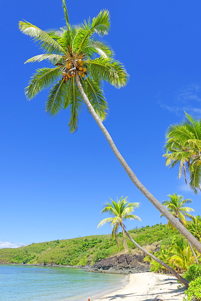 Tropical beach, Drawaqa Island, Yasawa island group, Fiji, South Pacific islands, Pacific