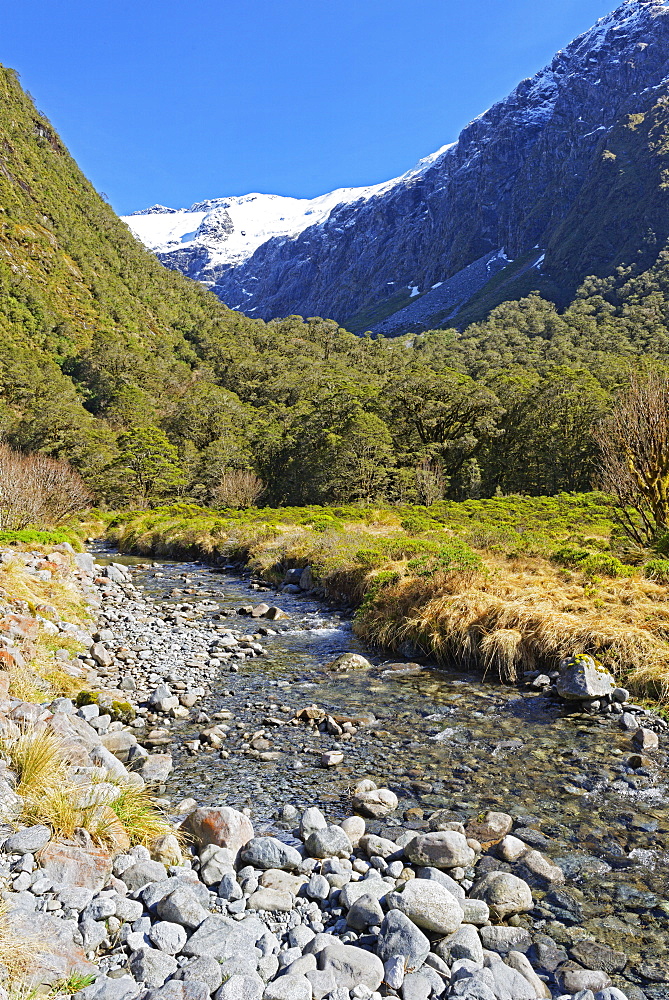 River, Milford Track, Fiordland National Park, UNESCO World Heritage Site, South Island, New Zealand, Pacific