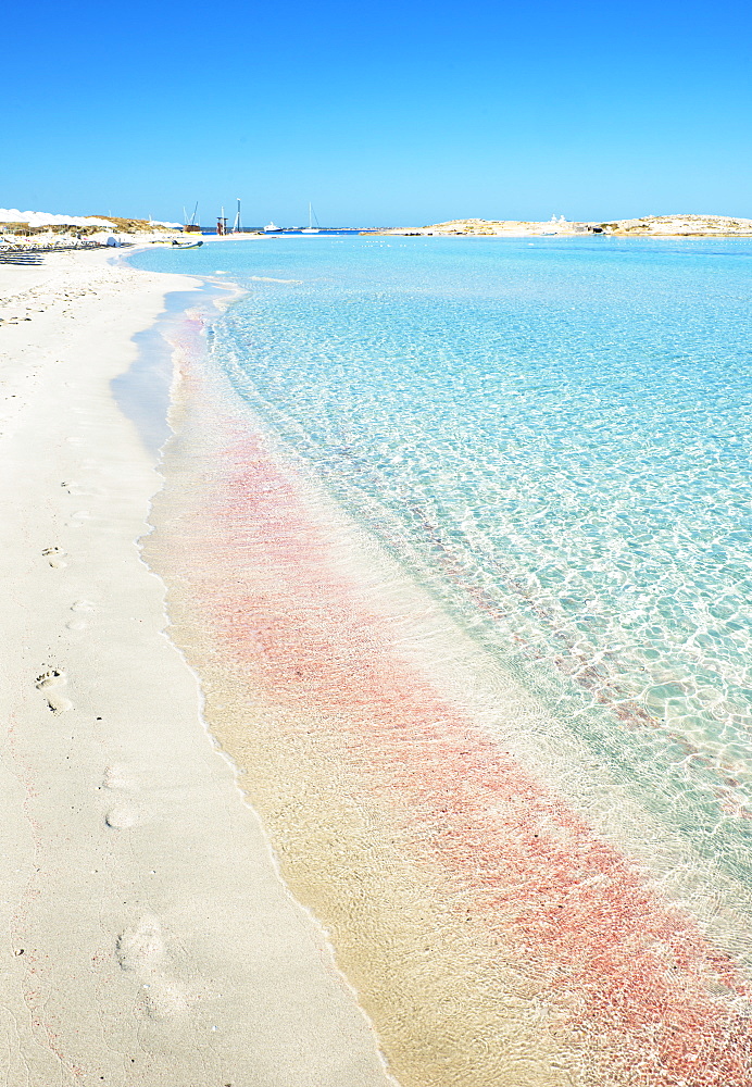 Ses Illetes beach, Formentera, Balearic Islands, Spain, Mediterranean, Europe 