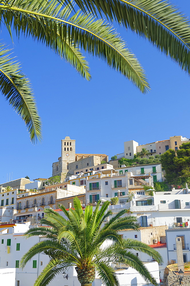 Ibiza town, Ibiza, Balearic Islands, Spain, Europe 