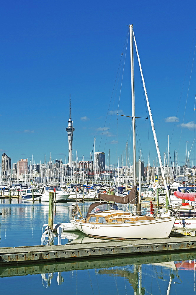 Skyline and yachts at Westhaven Marina, Auckland, North Island, New Zealand, Pacific