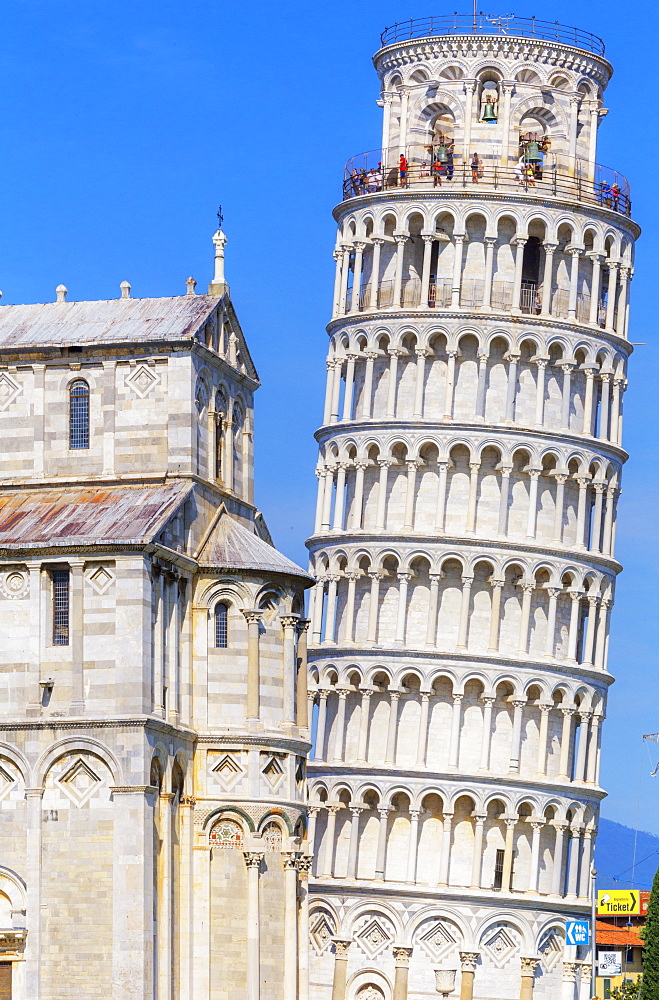 Leaning Tower, Campo dei Miracoli, UNESCO World Heritage Site, Pisa, Tuscany, Italy, Europe