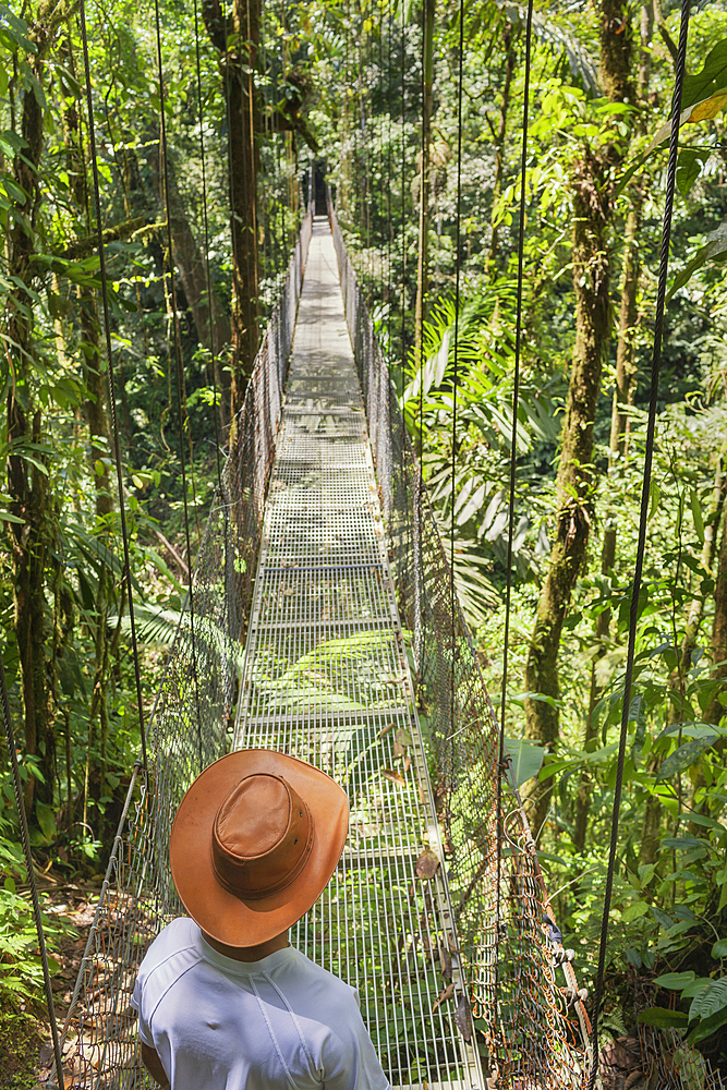 Man standing on hanging bridge in rainforest, La Fortuna, Alajuela province, Costa Rica