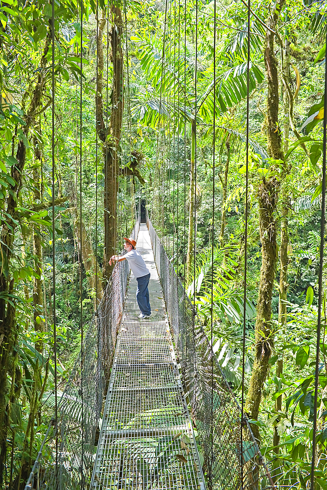 Man standing on hanging bridge in rainforest, La Fortuna, Alajuela province, Costa Rica, Central America