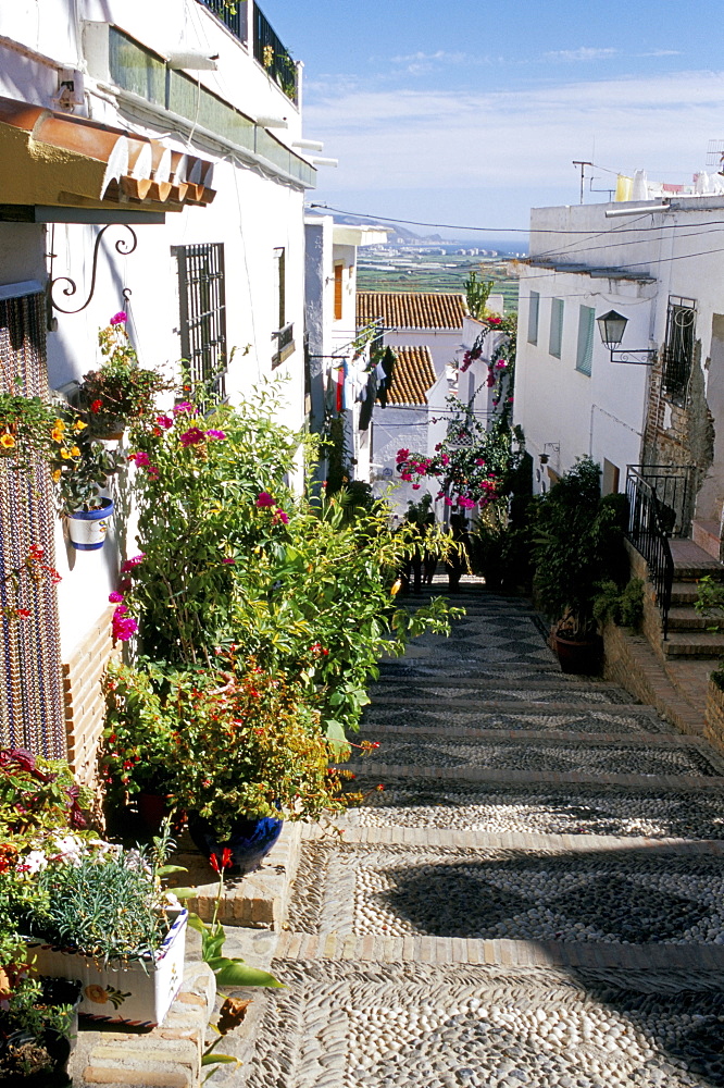 Narrow street filled with flowers and plants, Salobrena, Andalucia (Andalusia), Spain, Europe