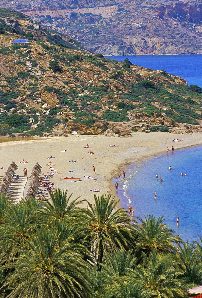 Aerial view of Vai beach and palm trees, eastern Crete, island of Crete, Greece, Mediterranean, Europe