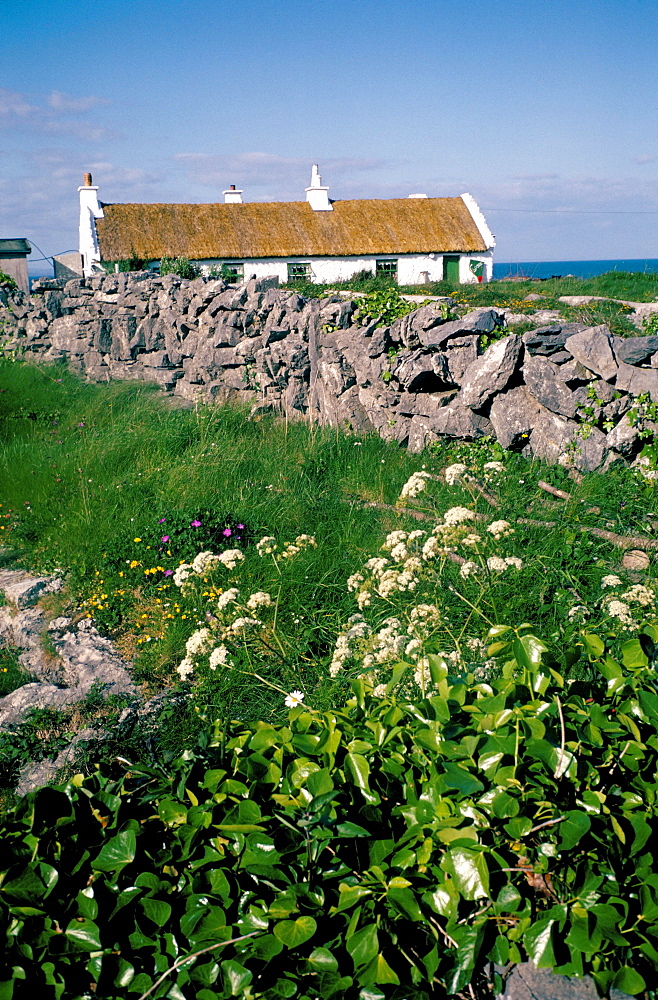 Inishmore (Inishmor), Isles of Aran, Eire (Ireland), Europe