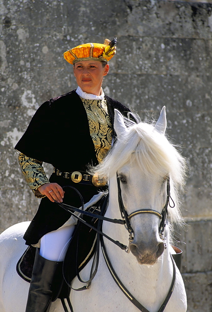 Equestrian show, Chateau of Chambord, Pays de Loire, Loire Valley, France, Europe