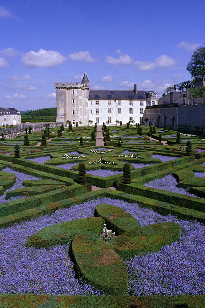 Formal gardens, Chateau of Villandry, UNESCO World Heritage Site, Indre et Loire, Loire Valley, France, Europe