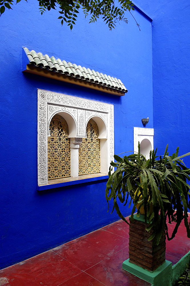 The Majorelle Garden, created by the French cabinetmaker Louis Majorelle, and restored by the couturier Yves Saint-Laurent, Marrakesh, Morocco, North Africa, Africa