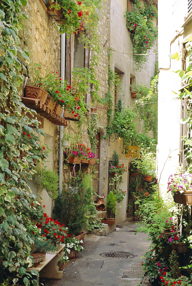 Mougins, Alpes Maritime, Cote d'Azur, Provence, France