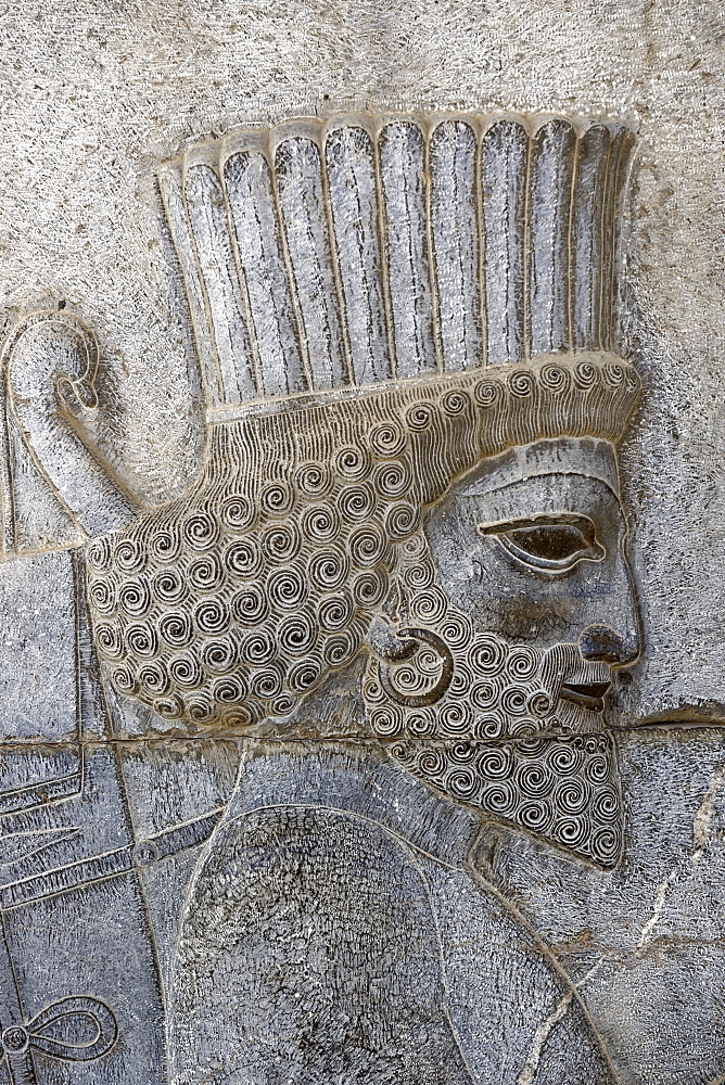 Bas relief of a Persian soldier, the monumental stairs of the Apadana, Persepolis, Iran, Middle East