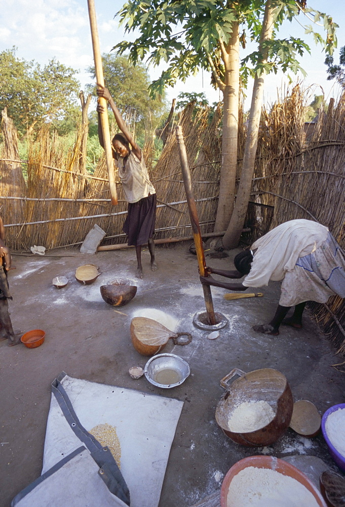 Batour village of the Anouak (Anuak) ethnic people, edge of Lake Tata, Ilubador state, Ethiopia, Africa