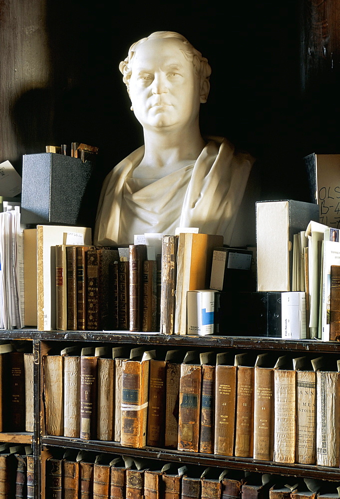 Gallery of the Old Library, Trinity College, Dublin, County Dublin, Eire (Ireland), Europe