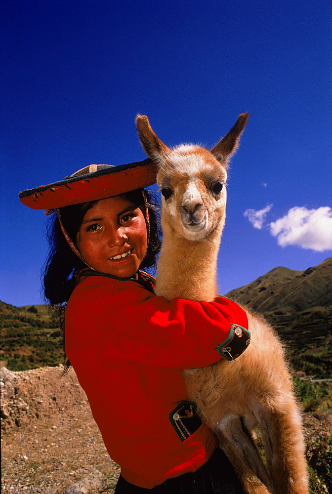 Indian girl in traditional dress with llama (Llama glama), Near Cusco, Peru, South America