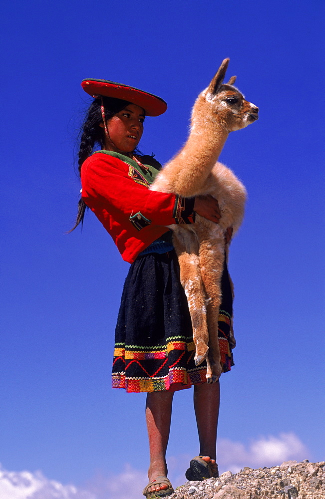 Indian girl holding Llama {Lama glama} near Cusco, Peru