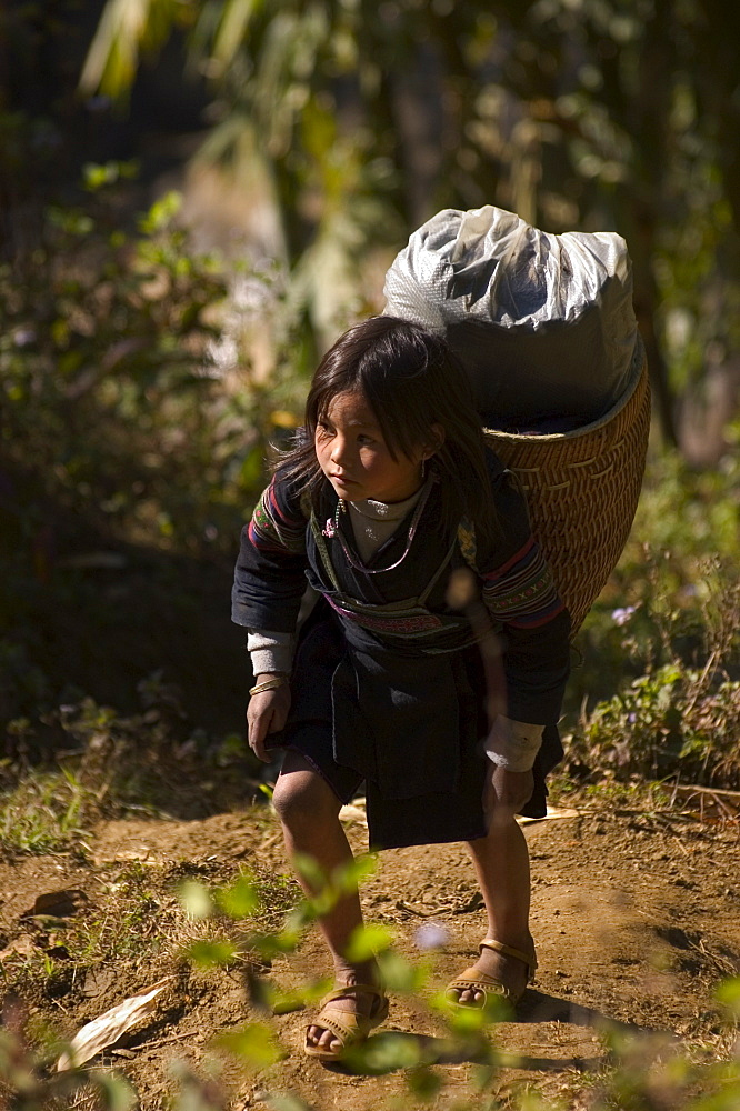 Cat Cat Village hiking trail, Sapa, Northern Vietnam, Southeast Asia, Asia