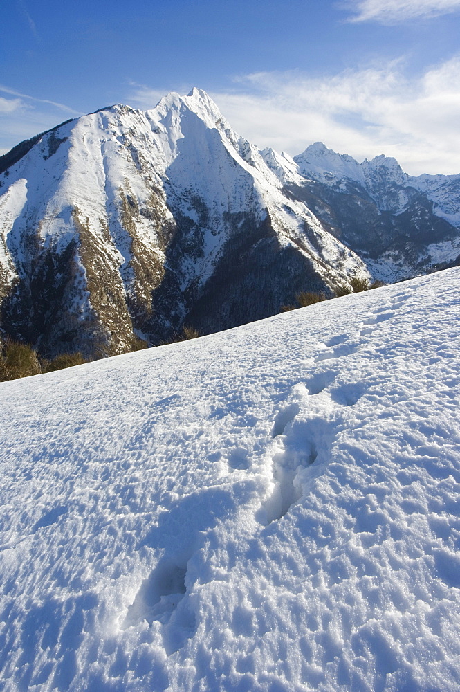 Animal tracks in snow, Monte Pisanino, Garfagnana, Apuane Regional Alps Park, north west Tuscany, Italy, Europe 