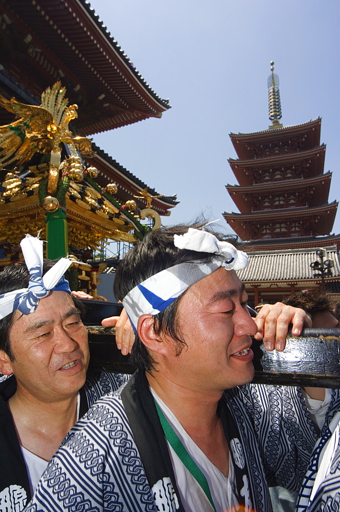 Mikoshi portable shrine of the gods parade, Sanja Matsuri Festival, Sensoji Temple, Asakusa Jinja, Asakusa, Tokyo, Japan, Asia