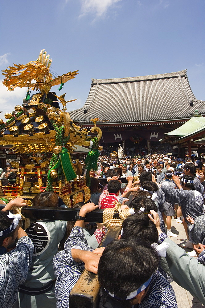 Mikoshi portable shrine of the gods parade, Sanja Matsuri Festival, Sensoji Temple, Asakusa Jinja, Asakusa, Tokyo, Japan, Asia