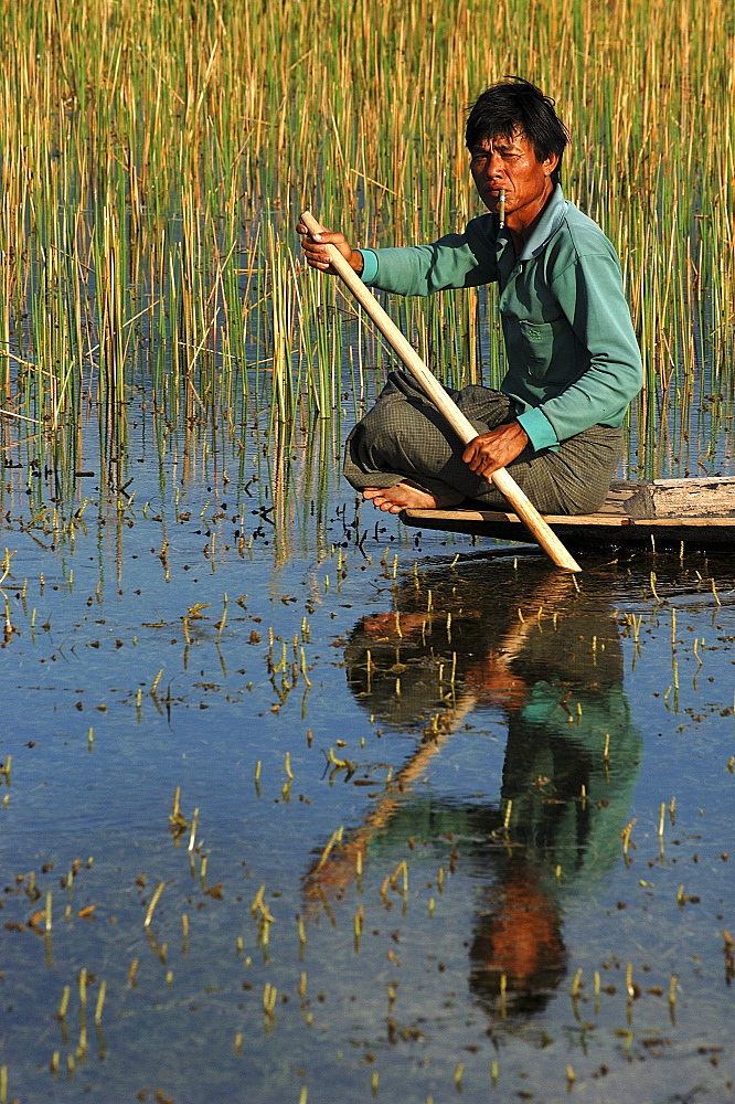 Man with cigar, boating on Inle Lake, Inle Lake, Shan State, Myanmar (Burma), Asia