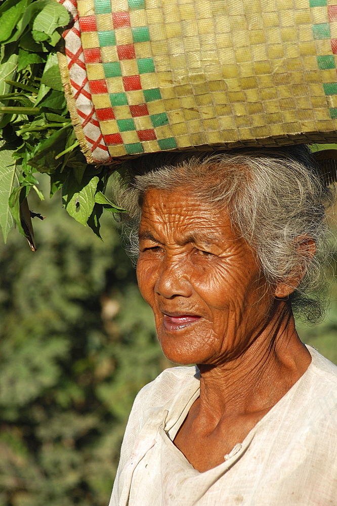 Old woman with basket of vegetables on head, Inle Lake, Shan State, Myanmar (Burma), Asia