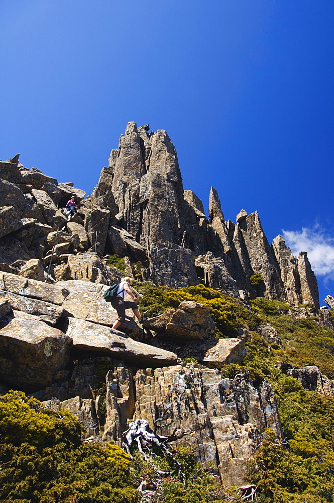 Hiking trail and rocky peaks on Cradle Mountain on the Overland Track, Cradle Mountain Lake St. Clair National Park, part of Tasmanian Wilderness, UNESCO World Heritage Site, Tasmania, Australia, Pacific