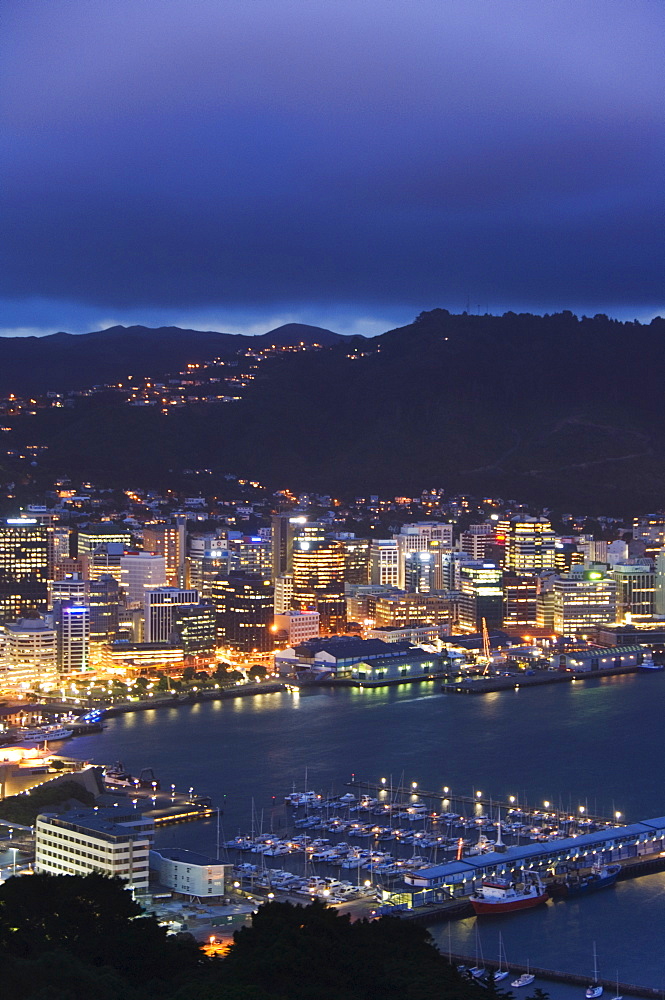 Panoramic view of city centre at night, overlooking Oriental Bay and Wellington Harbour, Wellington, North Island, New Zealand, Pacific