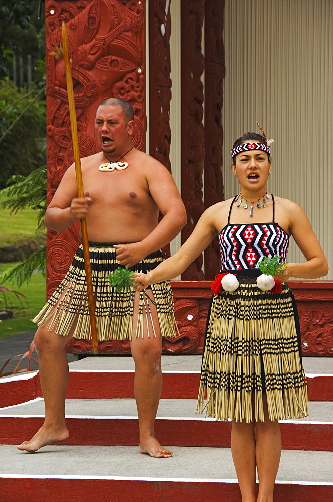 Welcoming ceremony performed by descendants of the Tuhourangi/Ngati Wahiao tribe, Te Puia Maori Village, Te Puia Wakarewarewa Geothermal Village, Rotorua, Taupo Volcanic Zone, North Island, New Zealand, Pacific