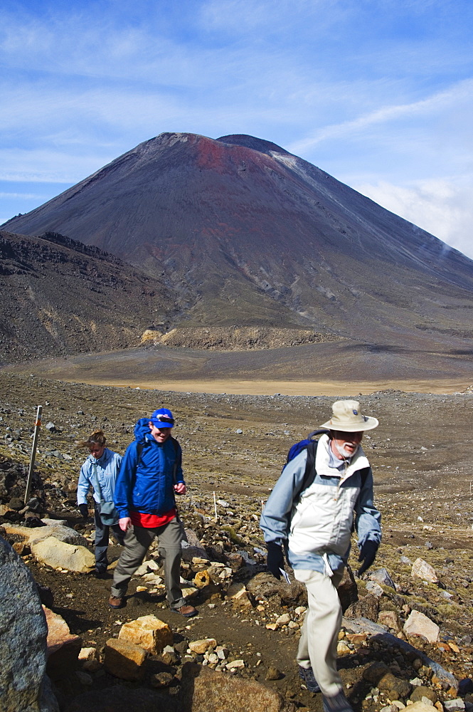 Hikers in front of Mount Ngauruhoe, 2287m, on the Tongariro Crossing, Tongariro National Park, the oldest national park in the country, UNESCO World Heritage Site, Taupo Volcanic Zone, North Island, New Zealand, Pacific