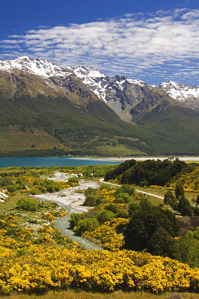 Bright summer flowers and snow capped mountains near Queenstown, Otago, South Island, New Zealand, Pacific