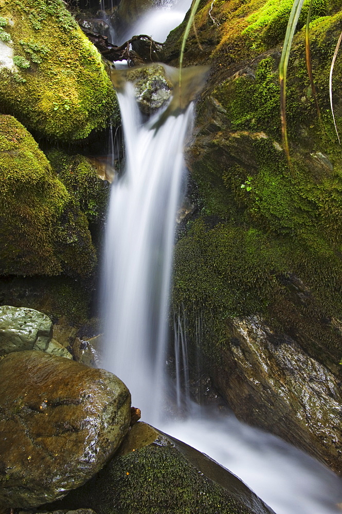 A waterfall on the Routeburn Track, one of the great walks of New Zealand, Fiordland National Park, South Island, New Zealand, Pacific