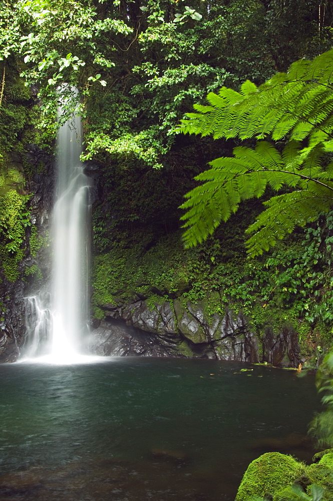 Malabsay Waterfall, Mount Isarog National Park, Bicol, southeast Luzon, Philippines, Southeast Asia, Asia