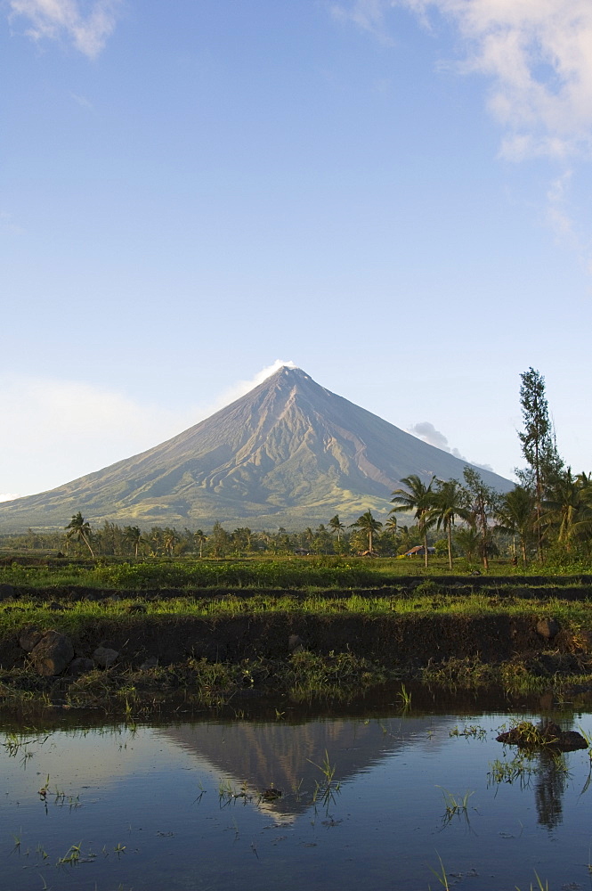 Mount Mayon, 2462 m, near-perfect volcano cone with plume of smoke reflected in rice field, Bicol Province, southeast Luzon, Philippines, Southeast Asia, Asia