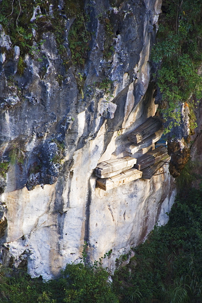 Hanging coffins of Animistic Applai elders entombed on limestone cliffs, Sagada Town, The Cordillera Mountains, Benguet Province, Luzon, Philippines, Southeast Asia, Asia