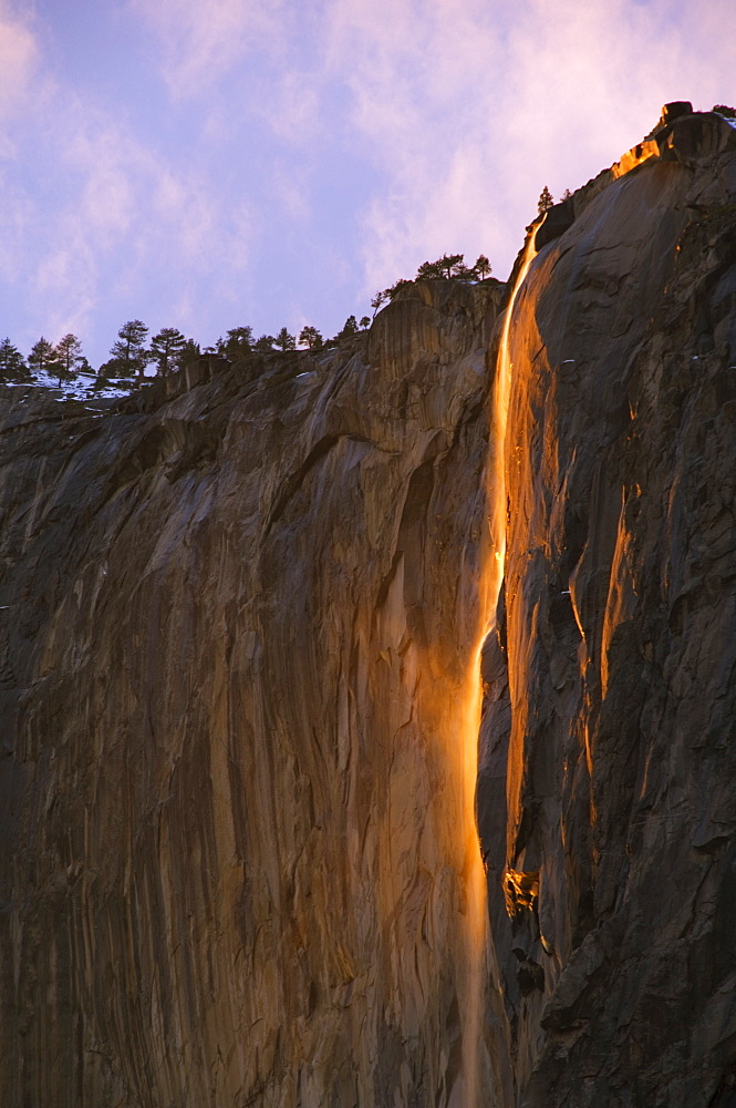 Late afternoon light on Horsetail Falls, a phenomenon which occurs only one or two days a year in late February due to the angle of the sun and snow melt on the cliffs, Yosemite Valley, Yosemite National Park, UNESCO World Heritage Site, California, United States of America, North America