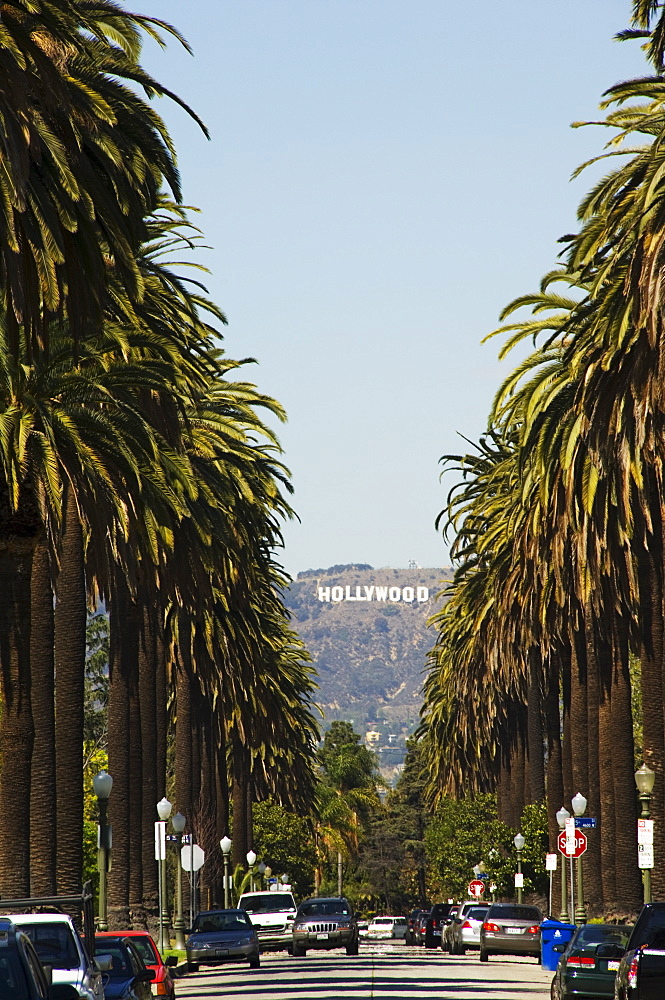 Hollywood Hills and The Hollywood sign from a tree lined Beverly Hills Boulevard, Los Angeles, California, United States of America, North America