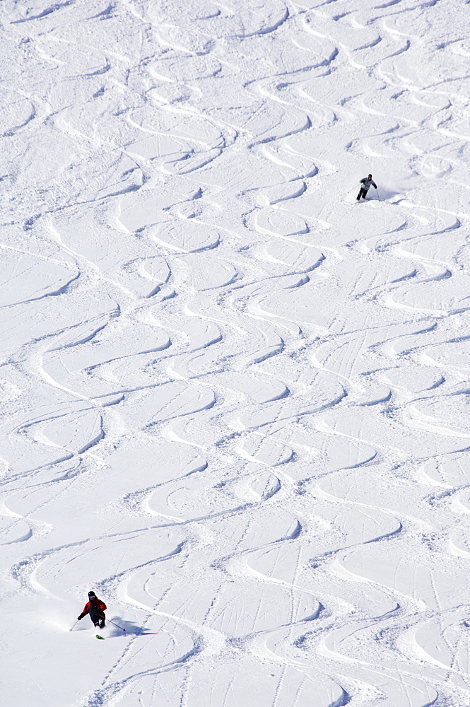 Skiers making early tracks after fresh snow fall at Alta Ski Resort, one of the resorts in America where only skiers are allowed, Salt Lake City, Utah, United States of America, North America