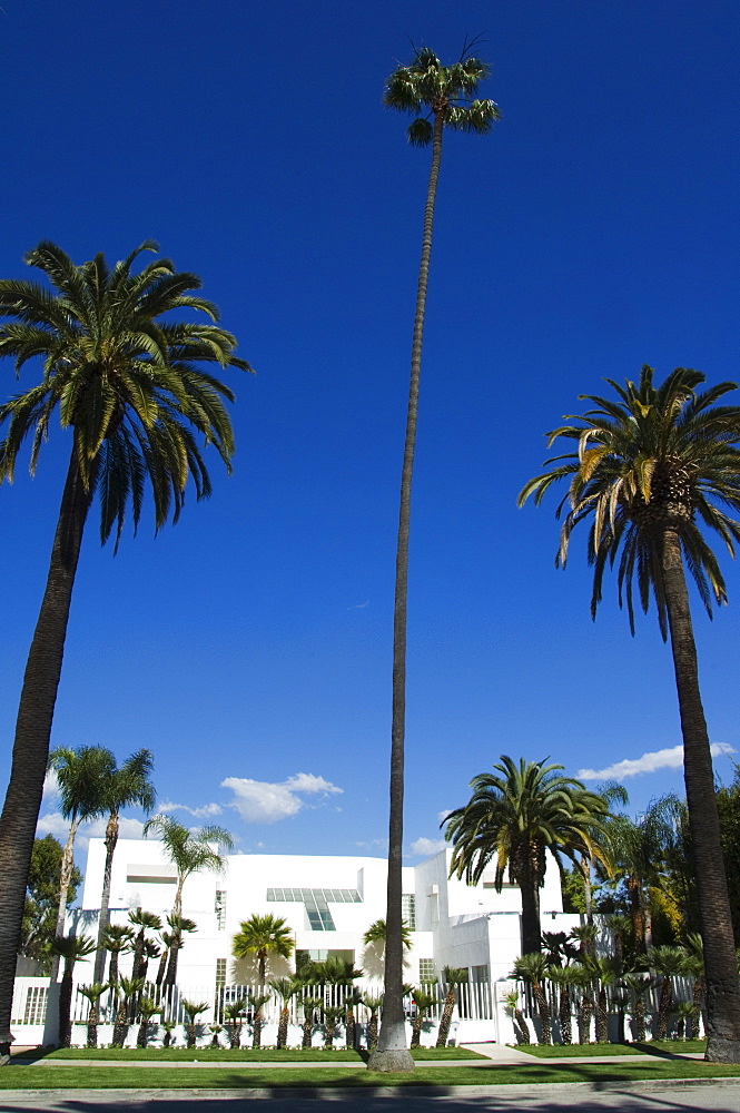 Mansions of the rich and famous, Beverly Hills, Los Angeles California, United States of America, North America