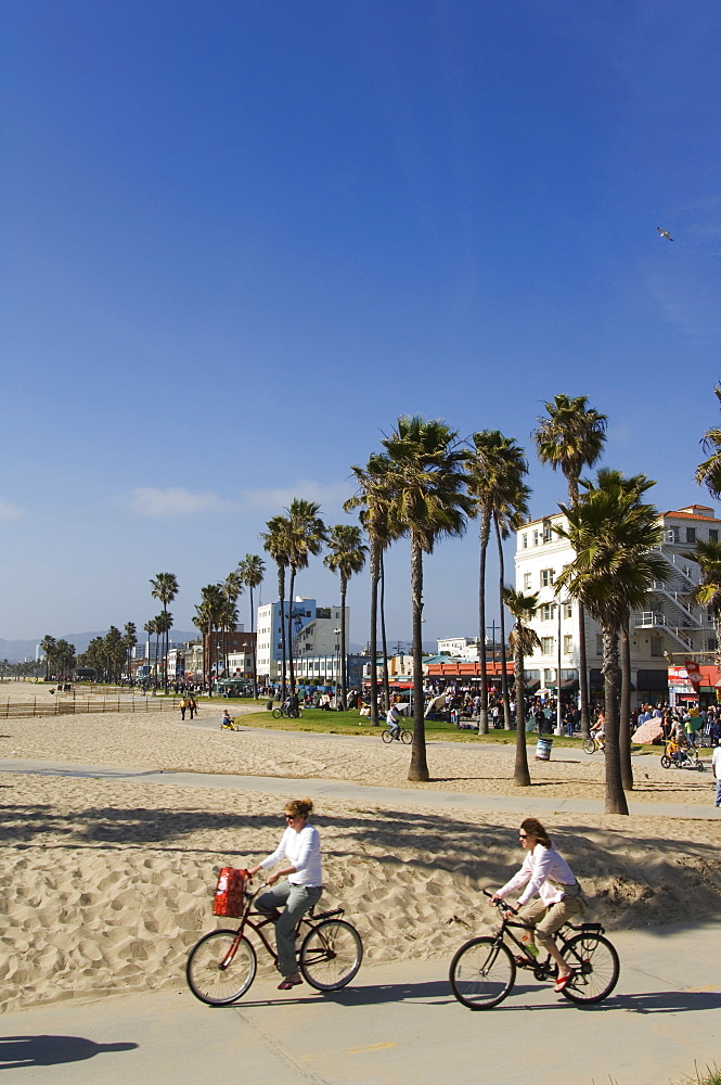 People cycling on the cycle path, Venice Beach, Los Angeles, California, United States of America, North America