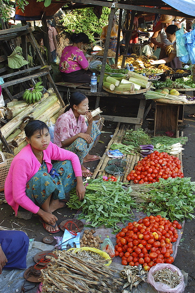 Suburban market, Yangon (Rangoon), Myanmar (Burma), Asia