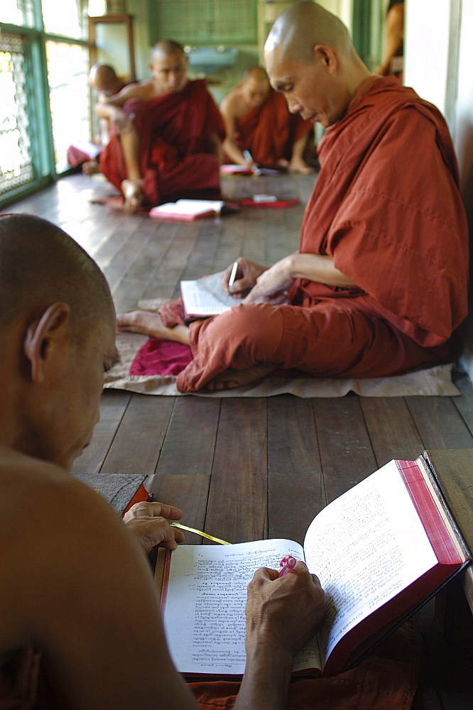 Monks studying at Kyauk Htat Gyi Pagoda, Yangon (Rangoon), Myanmar (Burma), Asia